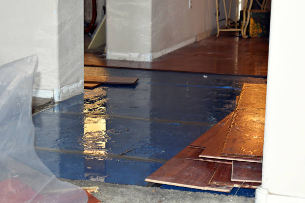 Professional Basement Water Removal technician working in Campbell, TX